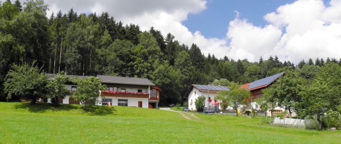 Unterkunft Bayerischer Wald Ferienhaus bei Regen