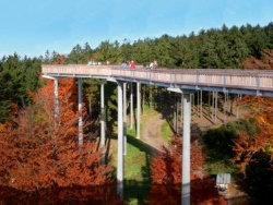 Ausflugsziele Niederbayern Waldwipfelweg Englmar