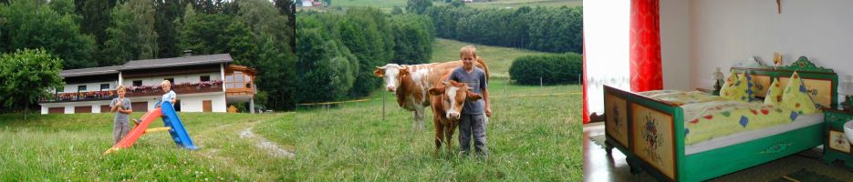 Ferienhaus Bayerischer Wald Ferienwohnung Landkreis Regen